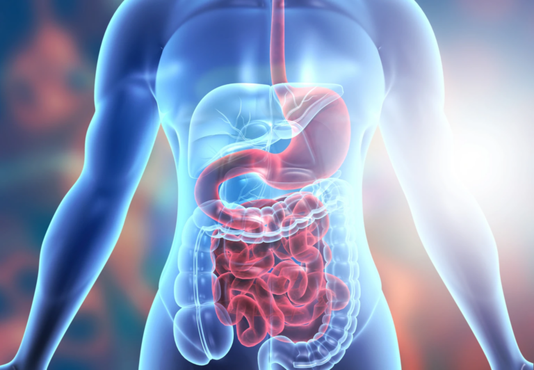 Home Remedies for Better Digestion: Simple Ways to Keep Your Gut Happy