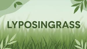Lyposingrass